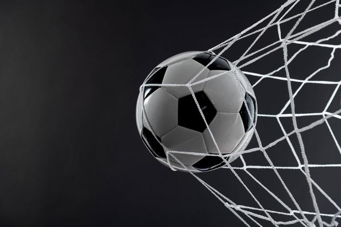 Суд в Москве арестовал владельца ФК "Торпедо" Соболева