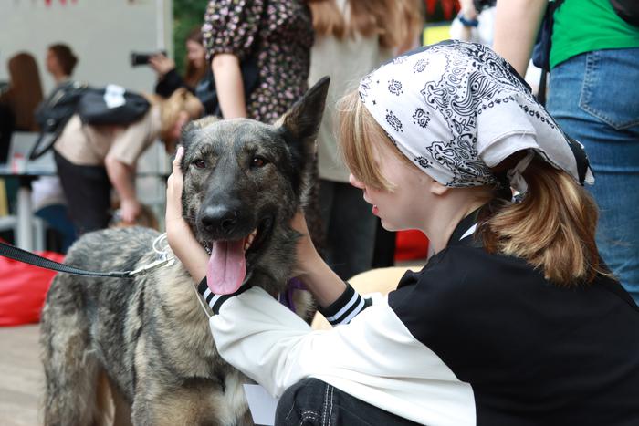 Сергей Собянин: Благотворительный фестиваль "Город неравнодушных" пройдёт 5 и 6 июля
