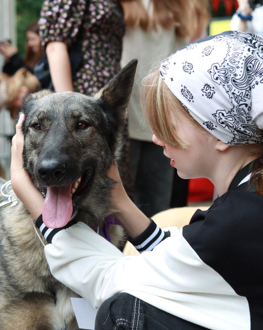Сергей Собянин: Благотворительный фестиваль "Город неравнодушных" пройдёт 5 и 6 июля