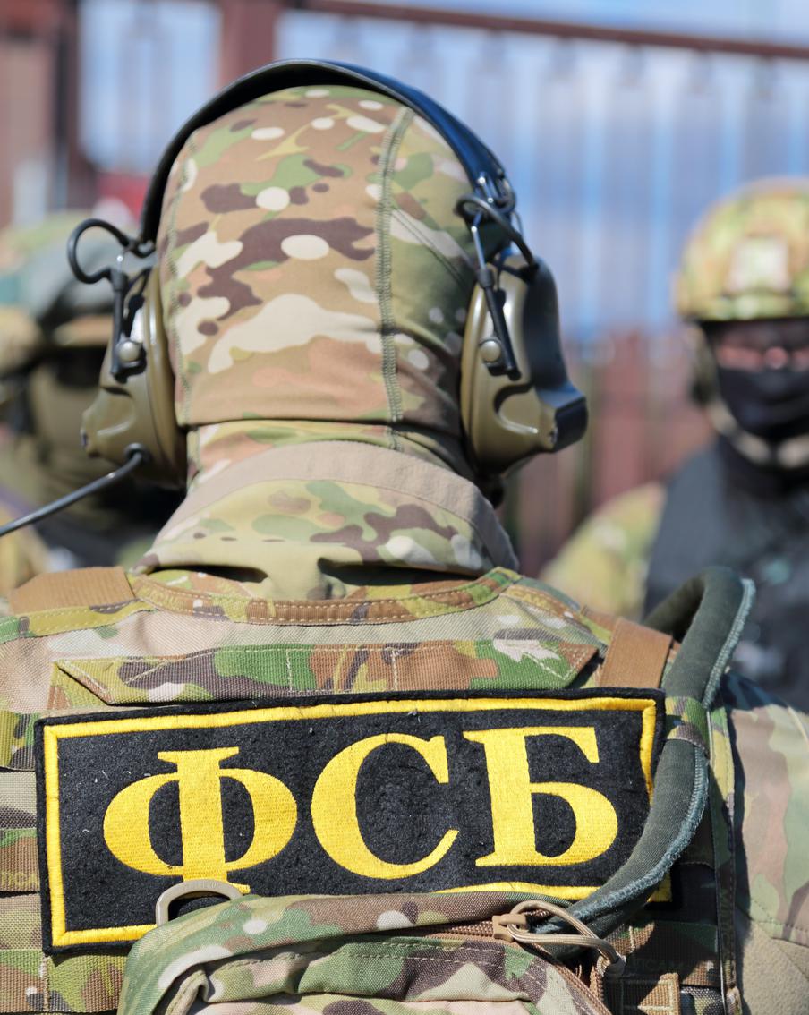 Российские силовики задержали пособницу спецслужб Украины в Новороссийске