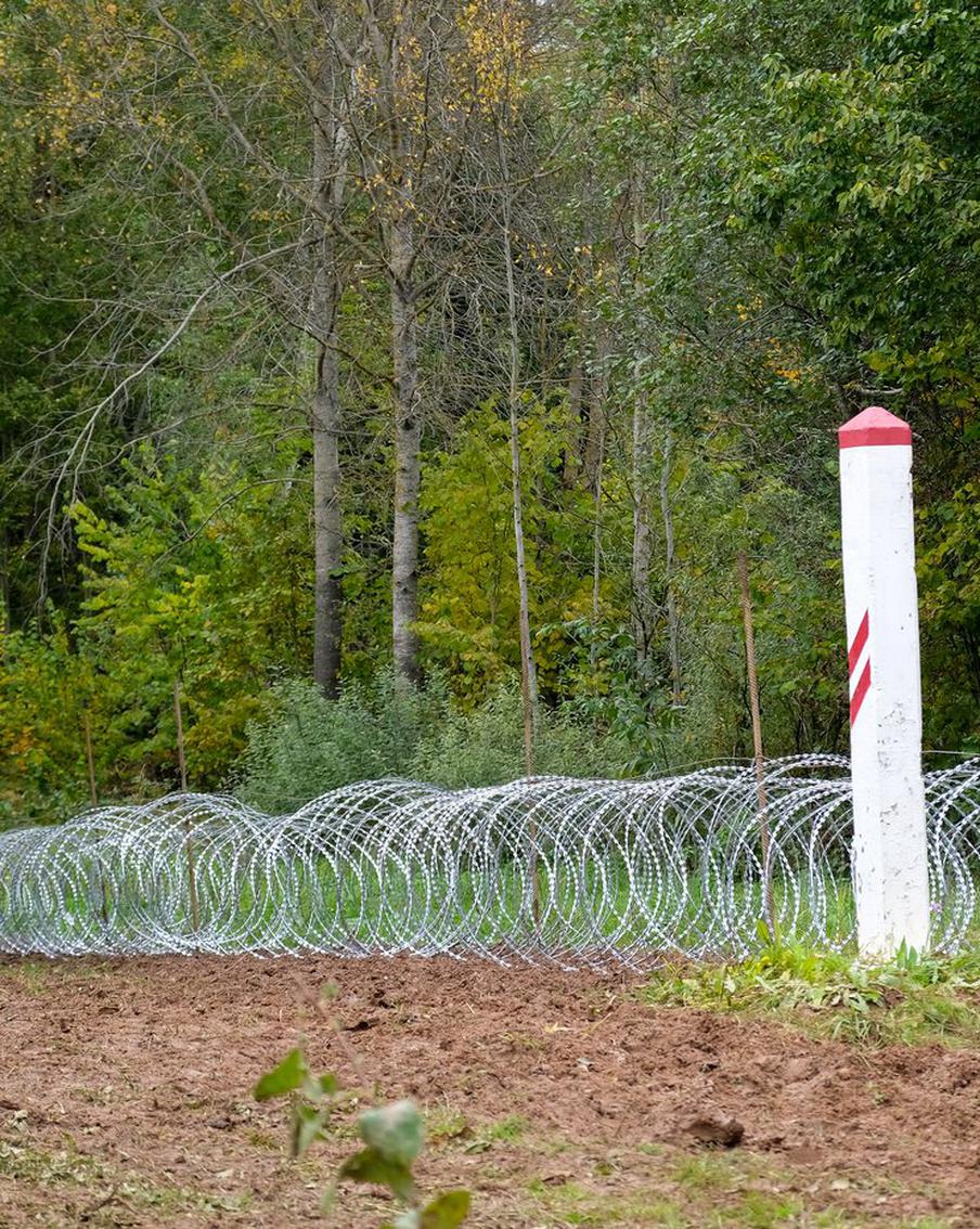 Власти прибалтийских государств сообщили о выходе из конвенции о нераспространении противопехотных мин