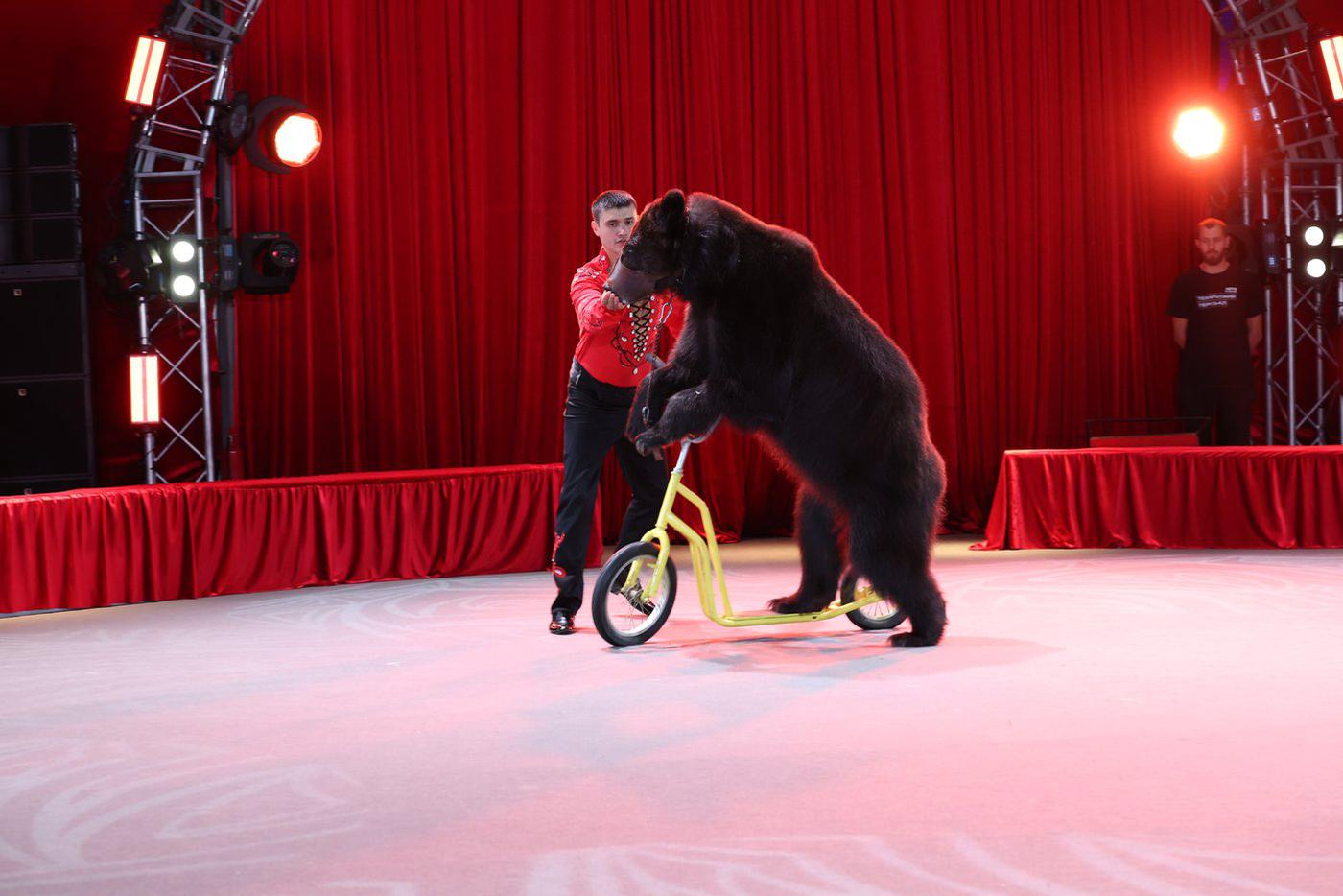 Мишка – типичный москвич-самокатчик.