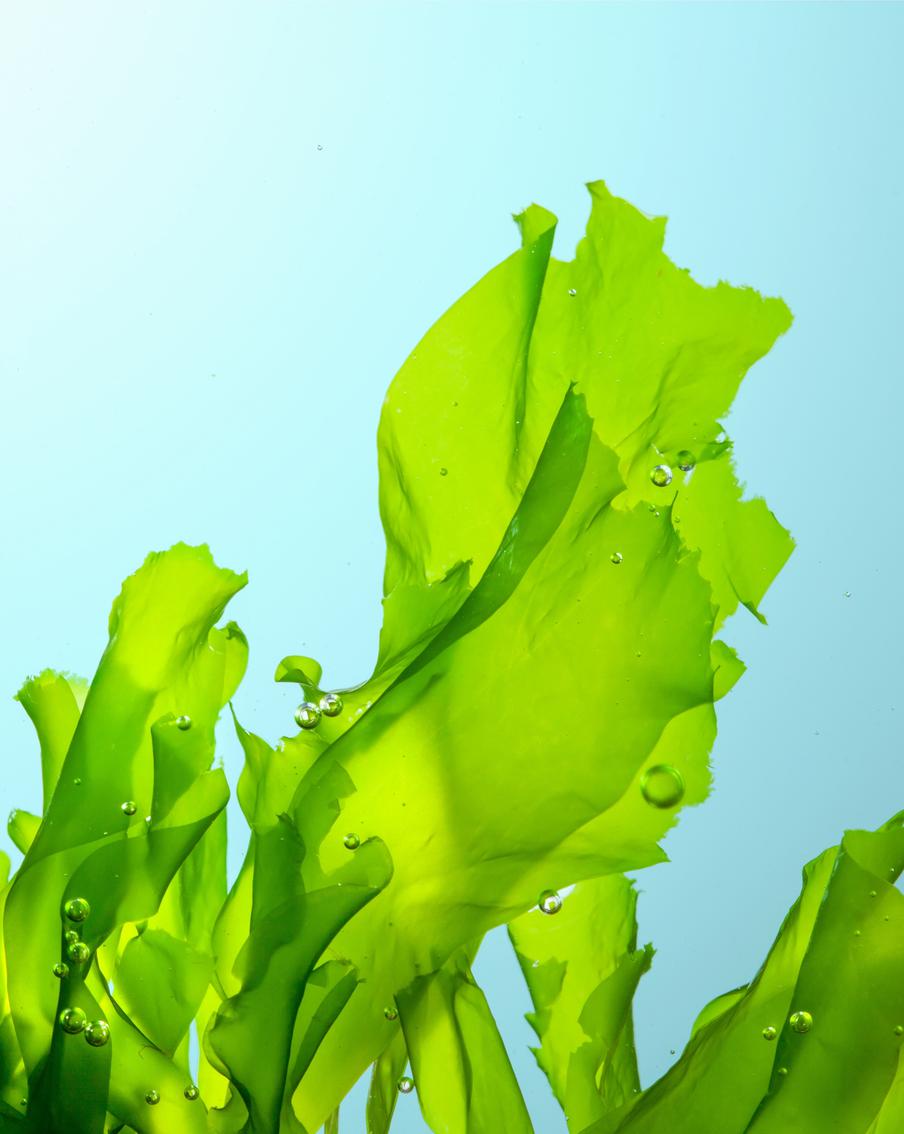 Чем полезна косметика с морскими ингредиентами: объясняет биолог