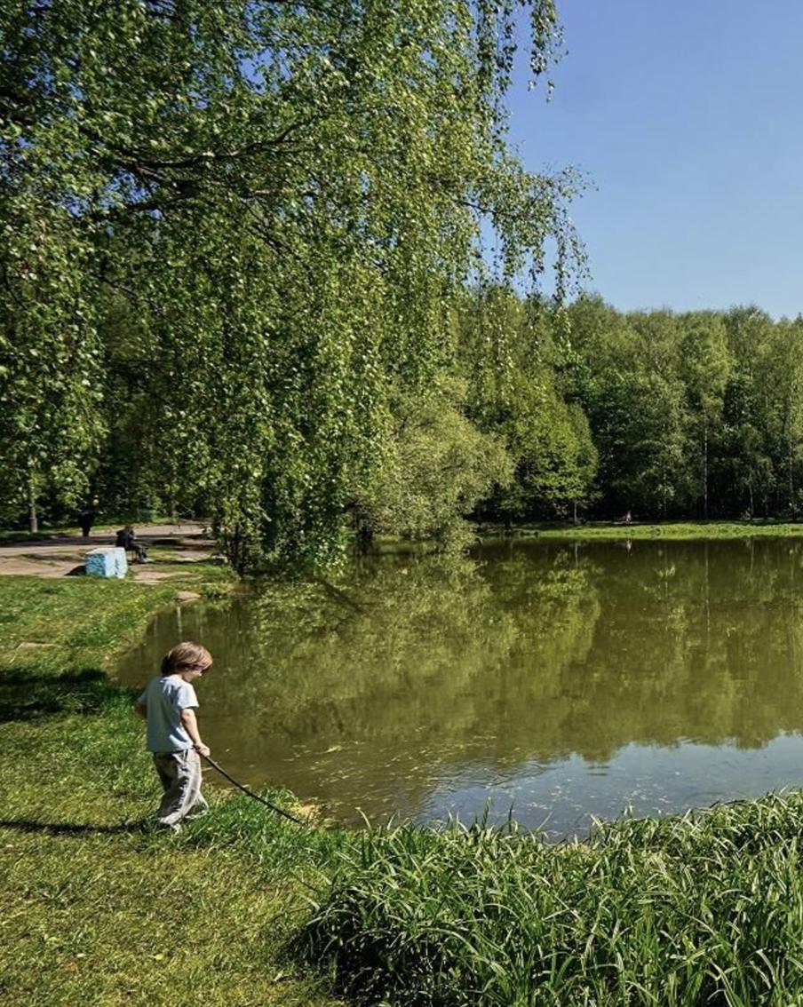 Зелёный каркас Москвы улучшит среду обитания животных и растений