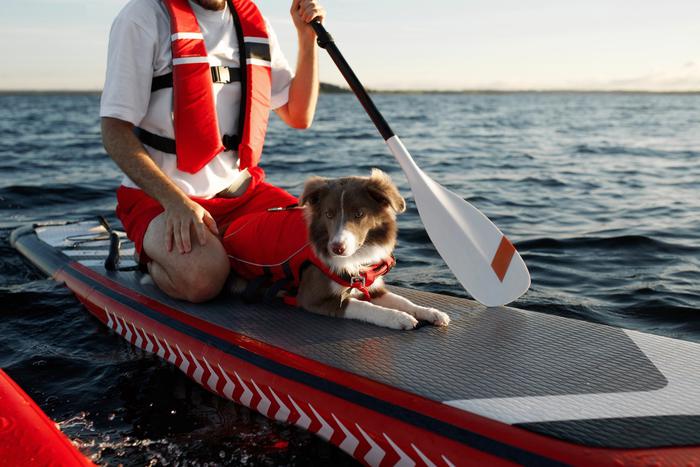 Сапсёрфинг, дог-трекинг и другие летние активности для вас и вашей собаки