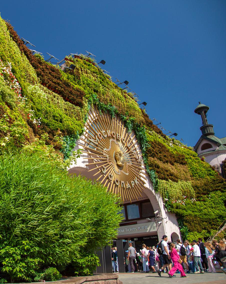 Как Москва превратилась в цветущий сад благодаря усилиям города и бизнеса