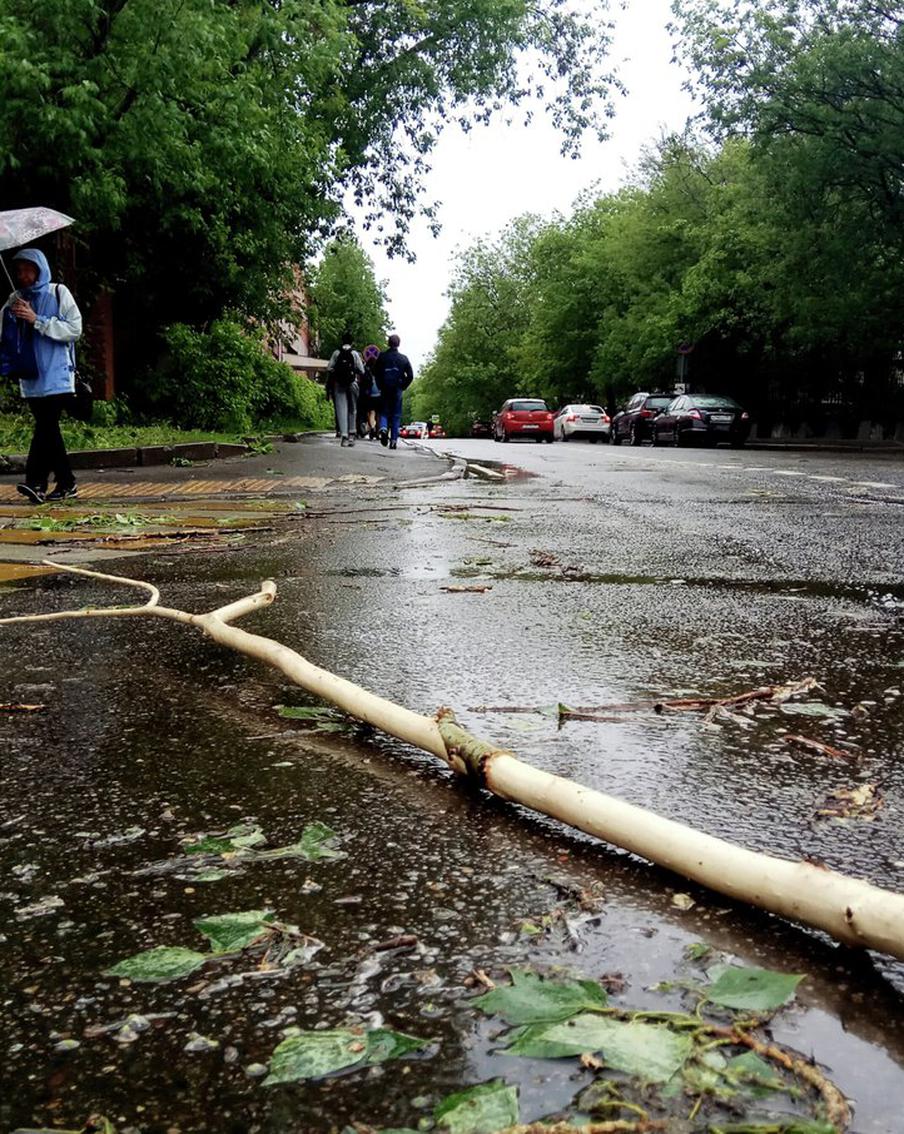 Мощный циклон в Московской области повредил машины и вышку связи