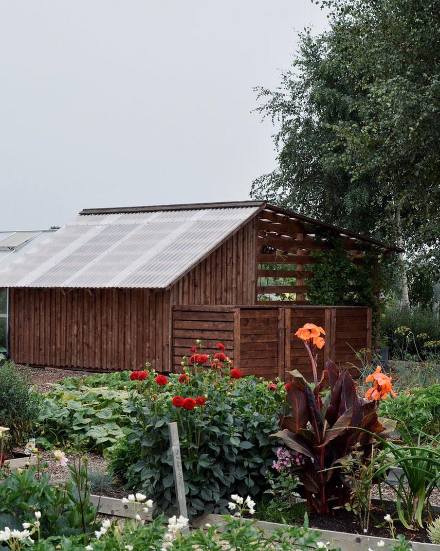 За мусор на дачном участке могут его отобрать: как усилят контроль над дачниками