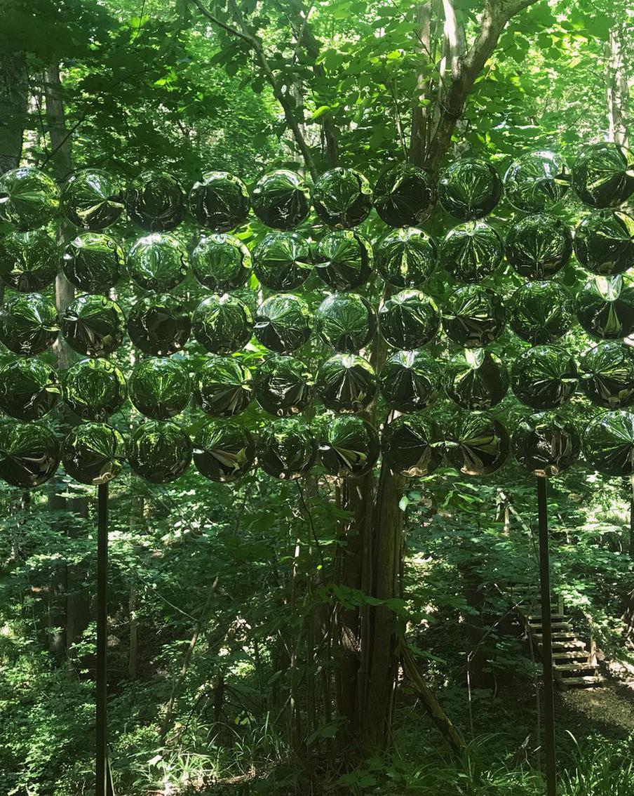 На "японской" экотропе в столичных "Горках Ленинских" лечат впечатлениями