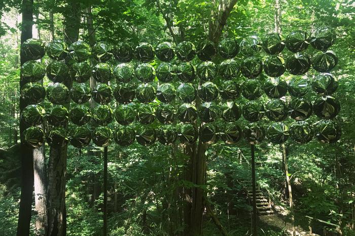 На "японской" экотропе в столичных "Горках Ленинских" лечат впечатлениями