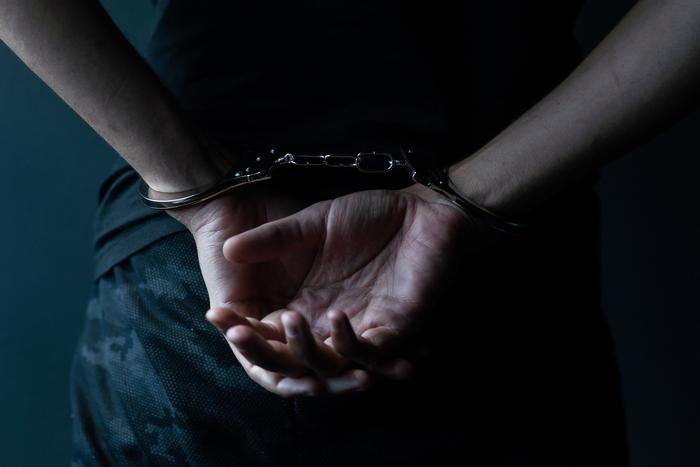 Правоохранительные органы задержали предполагаемого виновника наезда на пешеходов в Москве