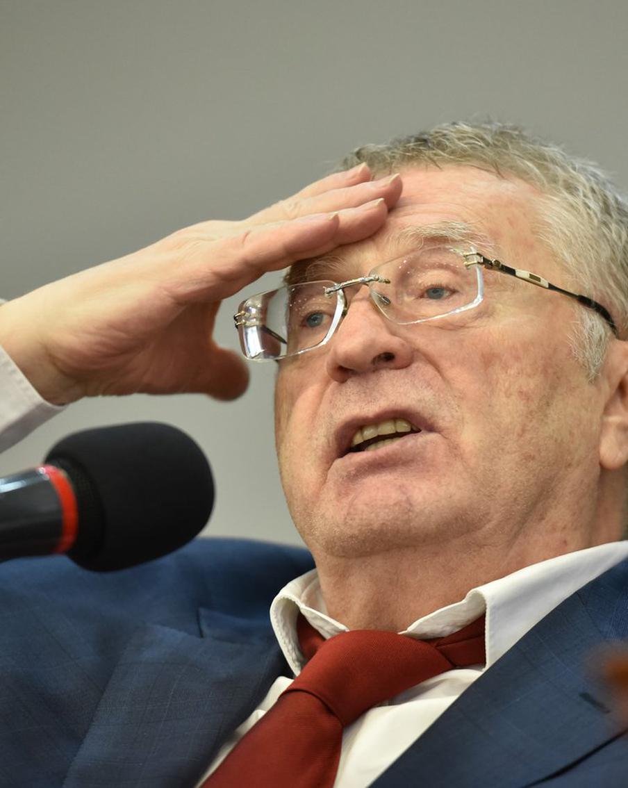 Жалобу родственницы Жириновского не рассмотрели из-за оплошности адвоката