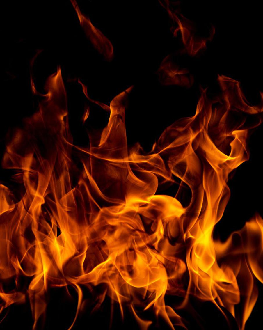 В Петербурге сожгли 530 кг кокаина