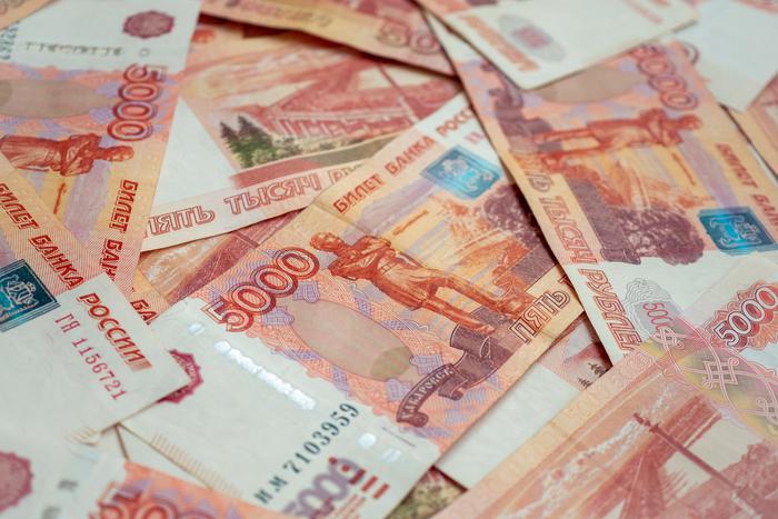 В ГД предложили запретить мигрантам переводить за рубеж сумму больше зарплаты