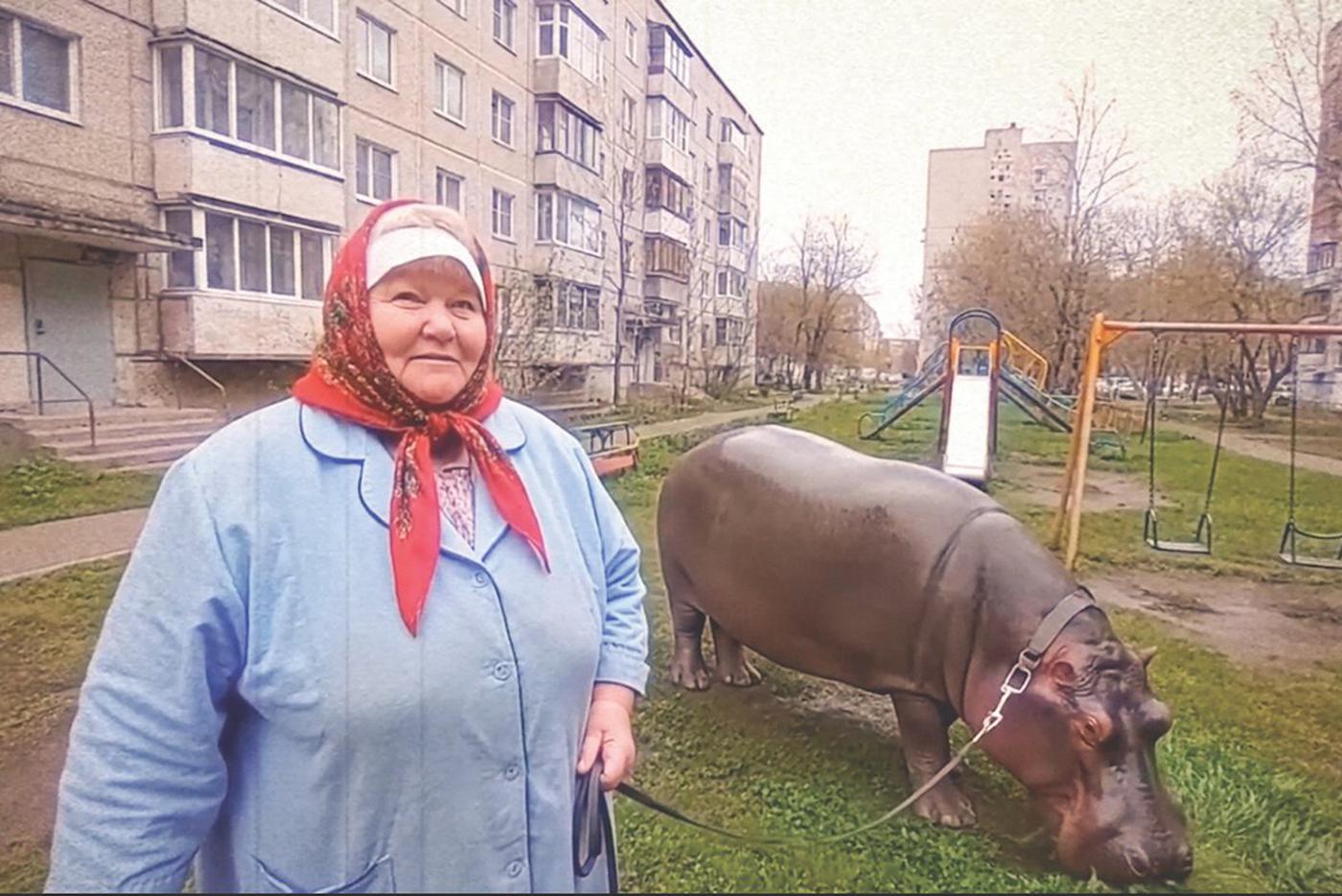 Самый ласковый питомец – бегемот Булька.
