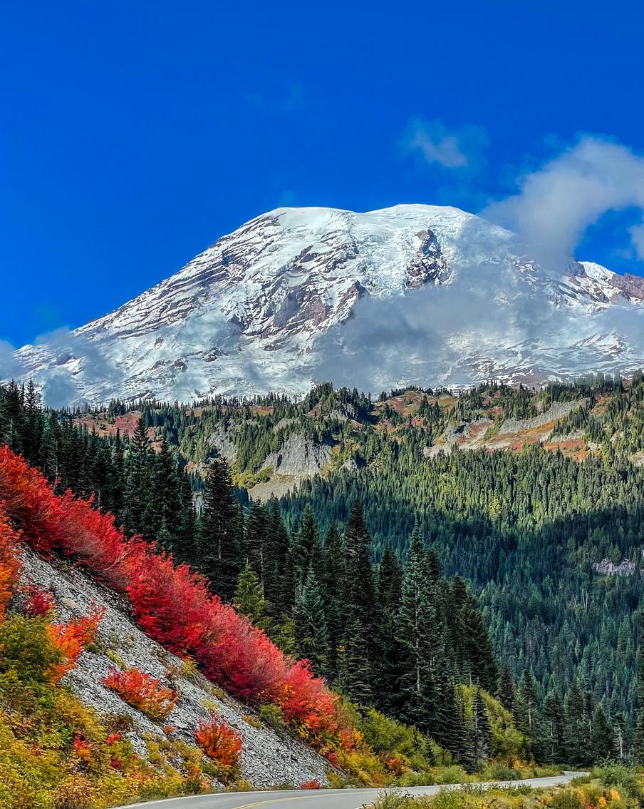Под вулканом Рейнир зафиксировали самый мощный рой землетрясений с 2009 года