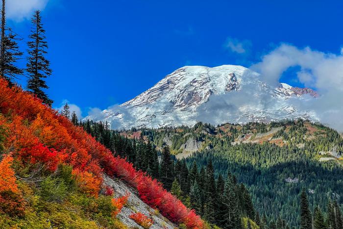 Под вулканом Рейнир зафиксировали самый мощный рой землетрясений с 2009 года