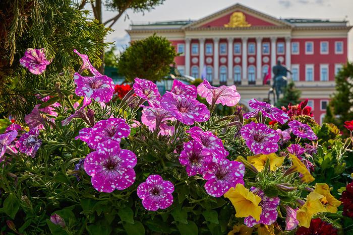 Какие площадки фестиваля "Сады и цветы" обязательно нужно увидеть этим летом