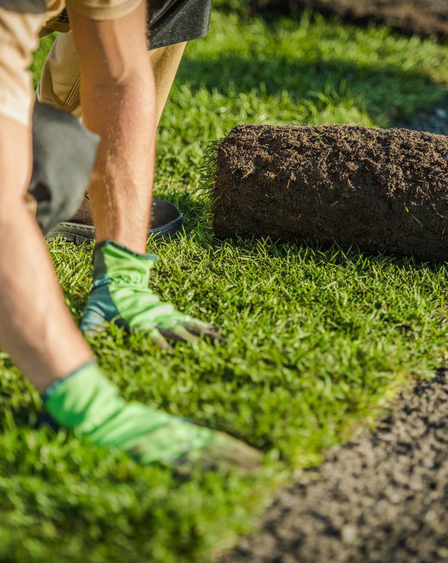 Порванные связки или ржавый гвоздь – как бороться с летними травмами