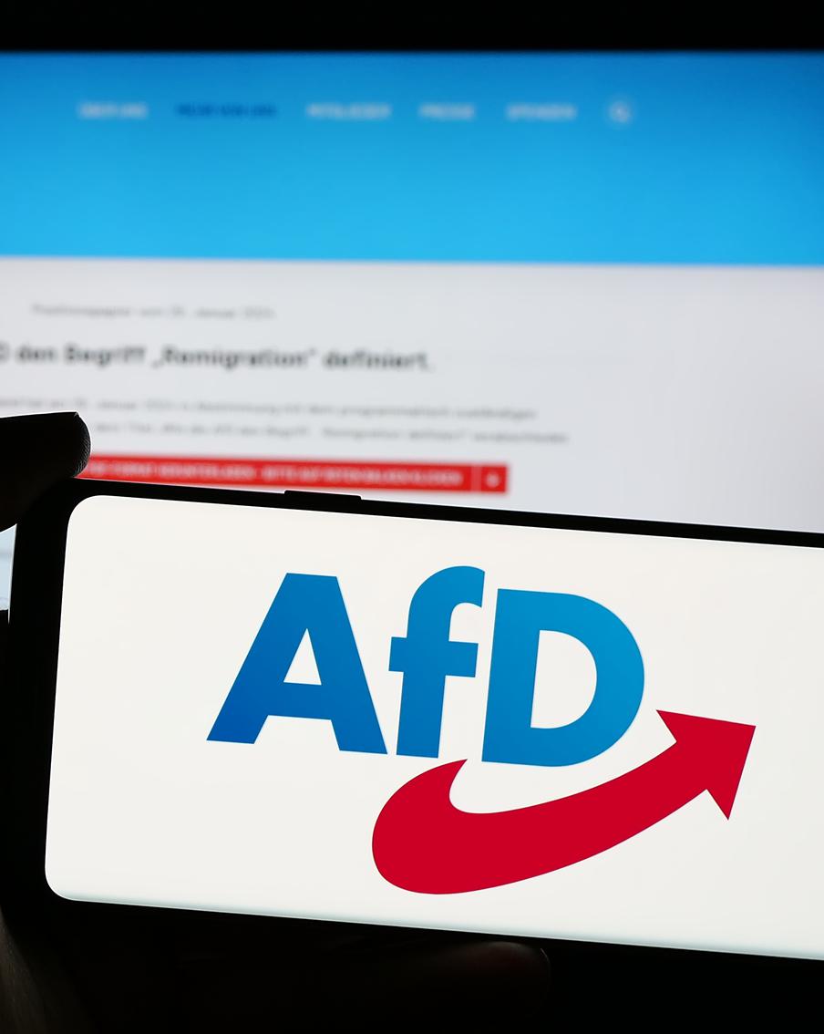 В Германии провели опрос об отношении немцев к идее запрета партии "Альтернатива для Германии"