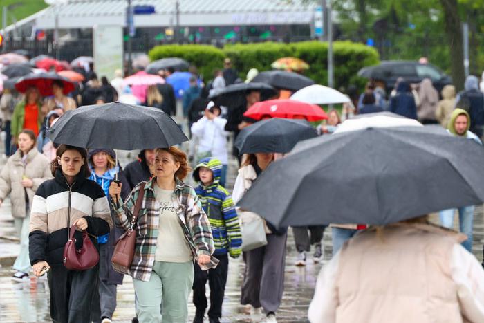 Метеоролог отметила появление признаков южных тропических регионов в климате Москвы