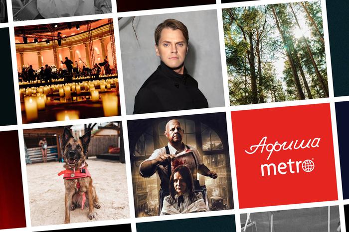 Зажечь тысячи свечей и увидеть шествие кораблей: всё это в афише Metro на выходные и не только