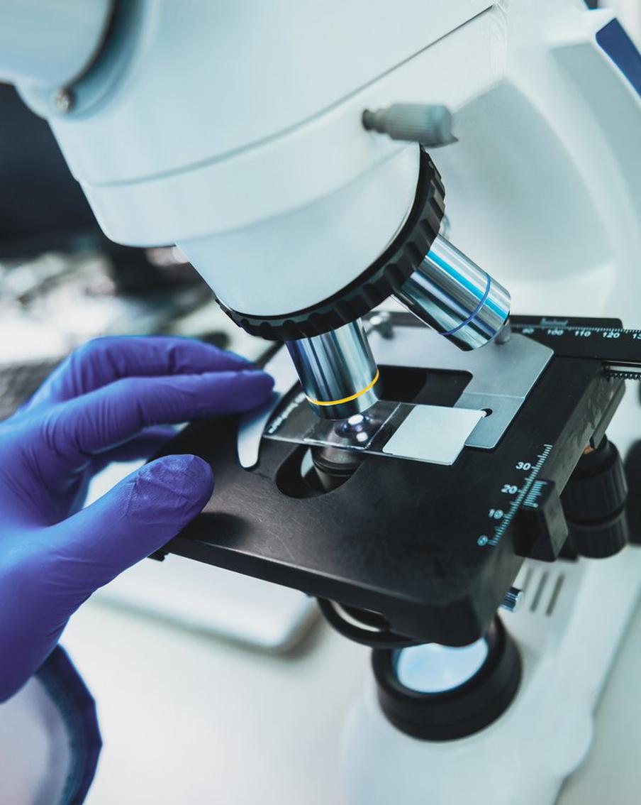 В Японии придумали, как победить синдром Дауна при помощи технологии редактирования генома