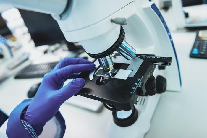 В Японии придумали, как победить синдром Дауна при помощи технологии редактирования генома