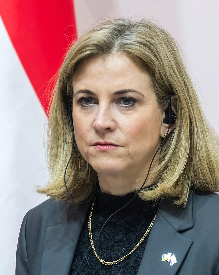 Австрийские власти о возможном вступлении страны в блок НАТО на фоне конфликта на Украине