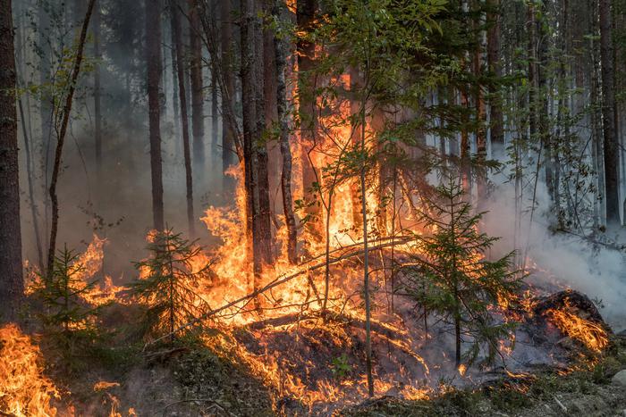 В Забайкалье подростков обвиняют в теракте по заданию куратора из Украины