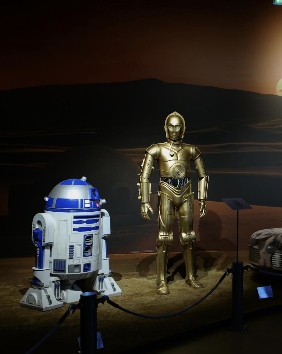 Лекция о главном романе  Булгакова и концерт классической музыки