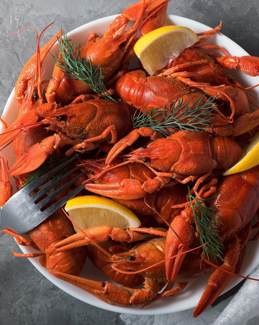 В Ростове научились разводить раков-гигантов за 3 месяца