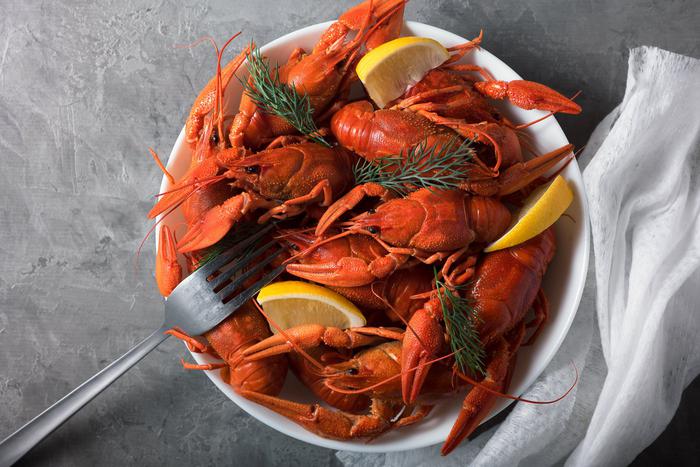 В Ростове научились разводить раков-гигантов за 3 месяца