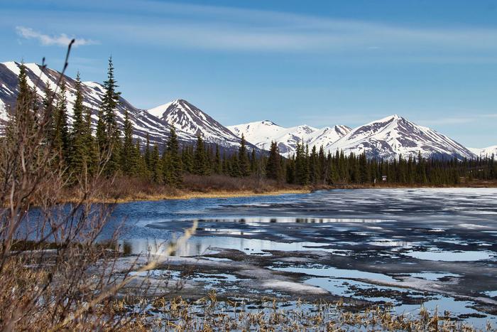 Константинов предложил США вернуть Аляску России за рыночную цену