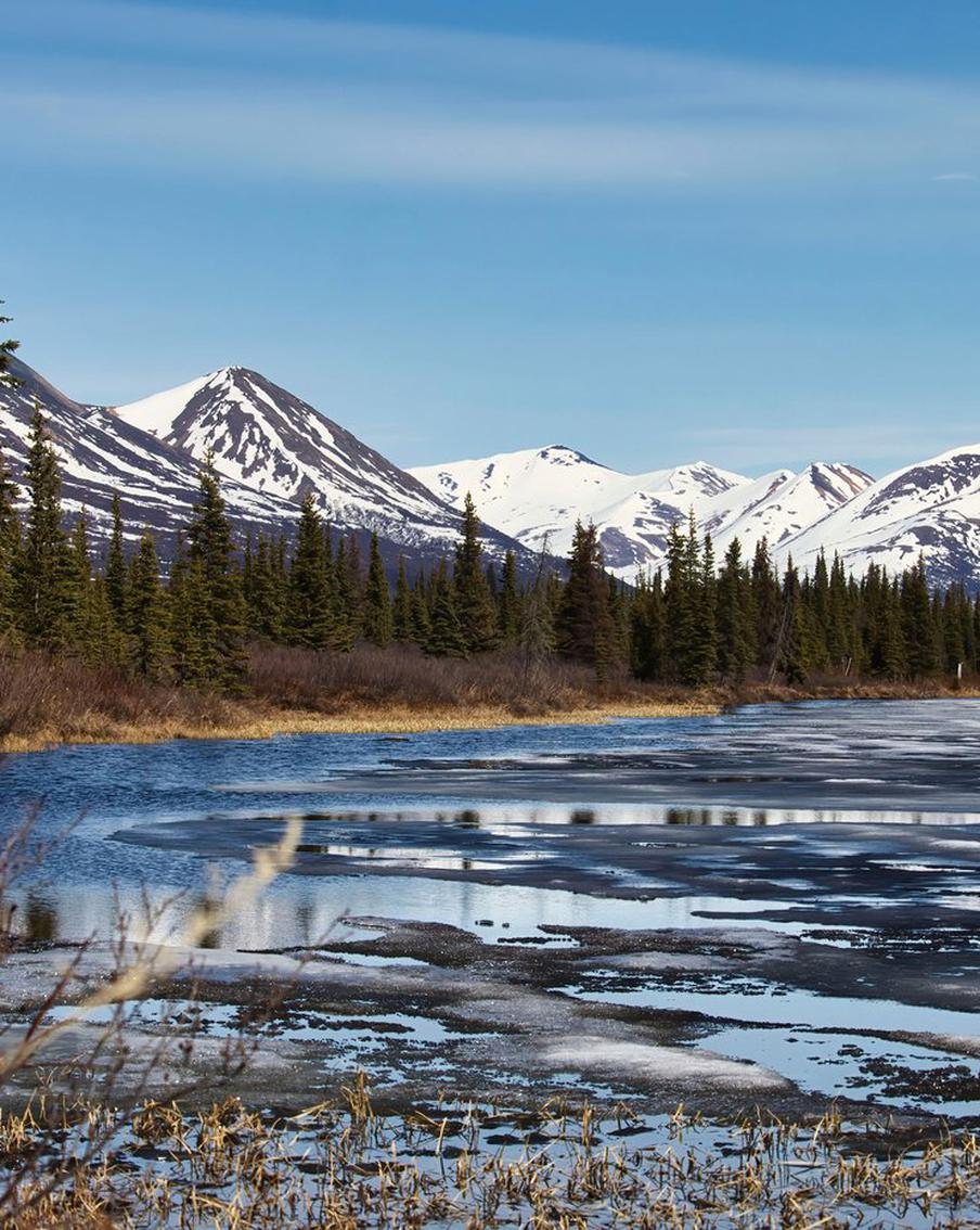 Константинов предложил США вернуть Аляску России за рыночную цену