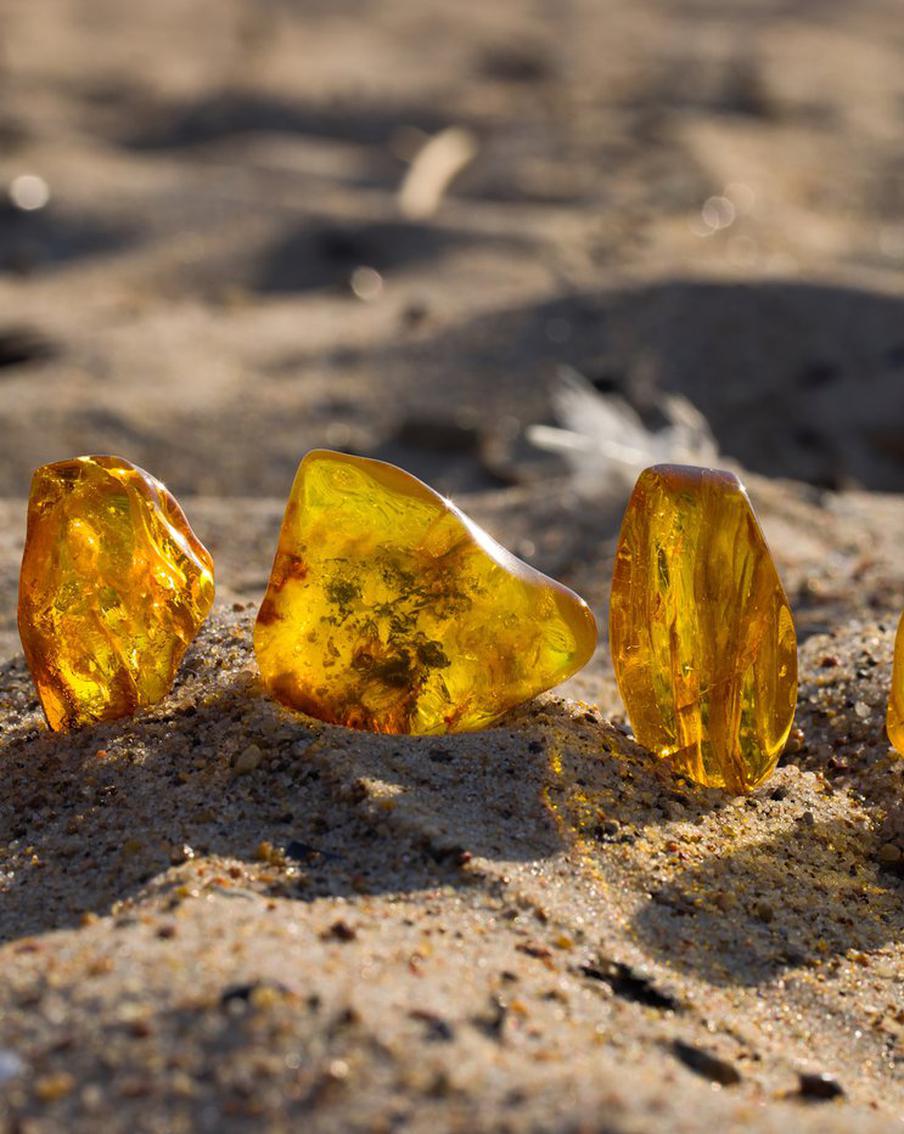 Афиша на 31 июля: изучаем янтарные легенды и погружаемся в новое прочтение Достоевского