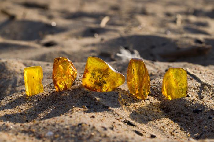 Афиша на 31 июля: изучаем янтарные легенды и погружаемся в новое прочтение Достоевского