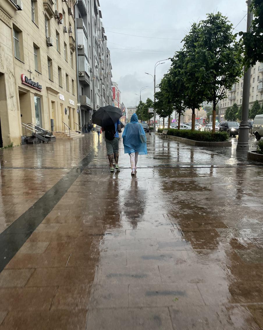 Москвичей предупредили о грозе, ливне и сильном ветре в пятницу