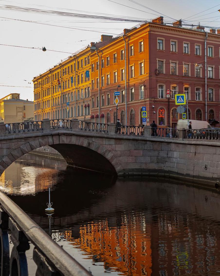 В Санкт-Петербурге приступили к спасению кота из "гранитной тюрьмы"