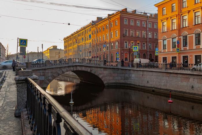 В Санкт-Петербурге приступили к спасению кота из "гранитной тюрьмы"