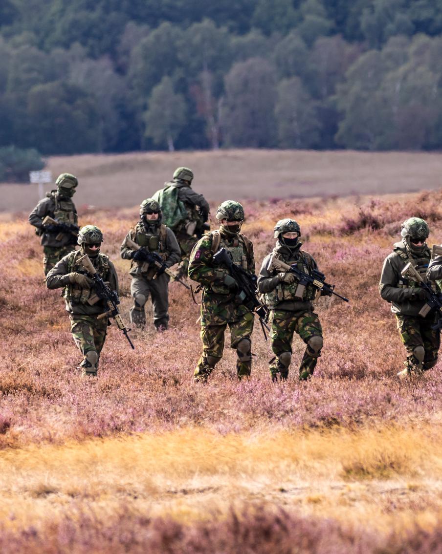 Эстонские власти обсуждают с союзниками по НАТО размещение на своей территории военного контингента альянса