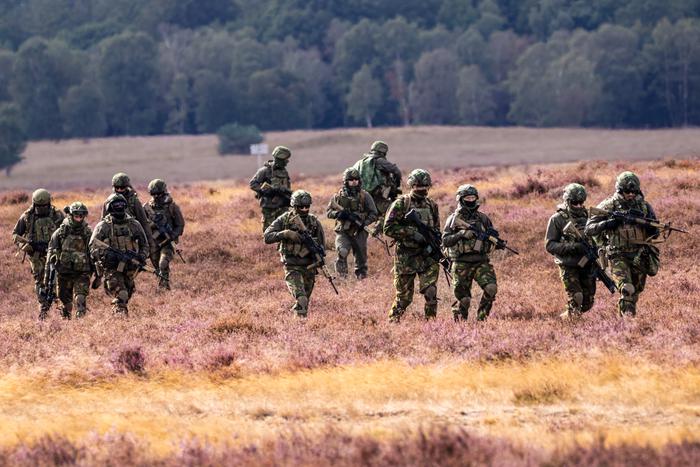 Эстонские власти обсуждают с союзниками по НАТО размещение на своей территории военного контингента альянса
