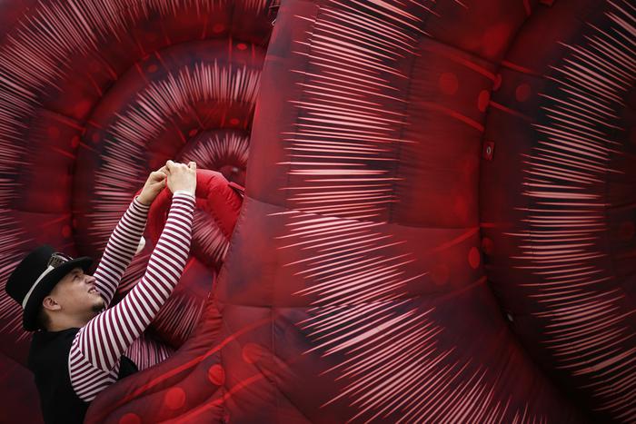 Британцы приравняли гигантских улиток на "Карандаш-фесте" в Старице к папе римскому