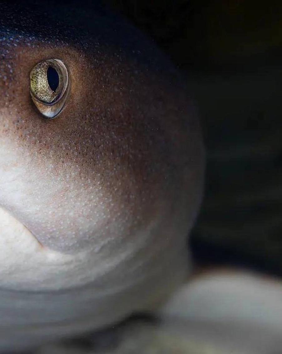 Там женят людей и разводят коньков: "Москвариуму" исполнилось 10 лет