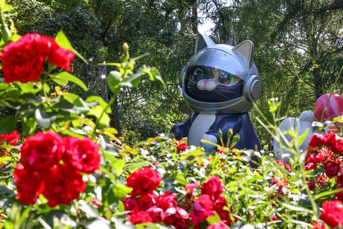 "Космокотики" замурчали и прилетели в гости к жителям Москвы