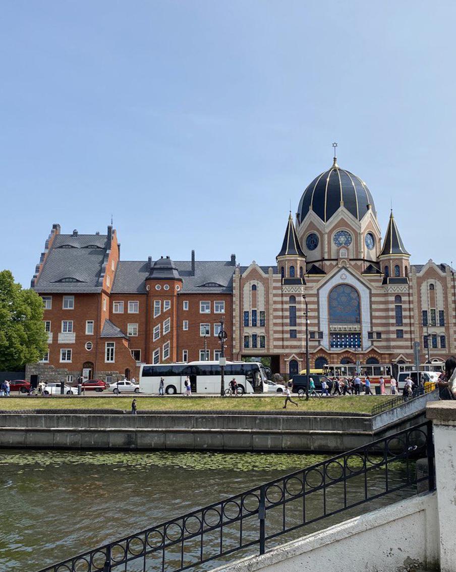 Посетить Янтарный посёлок, вдохнуть свежий сосновый воздух и попробовать строганину из пеламиды