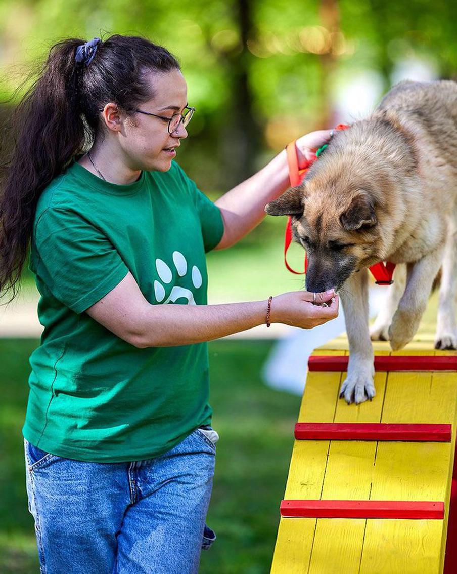Любителей животных пригласили на фестиваль "Моспитомец" на Тверском бульваре