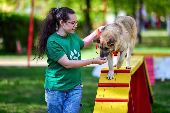 Любителей животных пригласили на фестиваль "Моспитомец" на Тверском бульваре