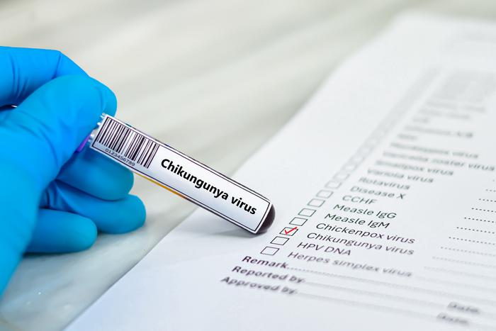 Чикунгунья в Китае: угрожает ли России новая эпидемия?