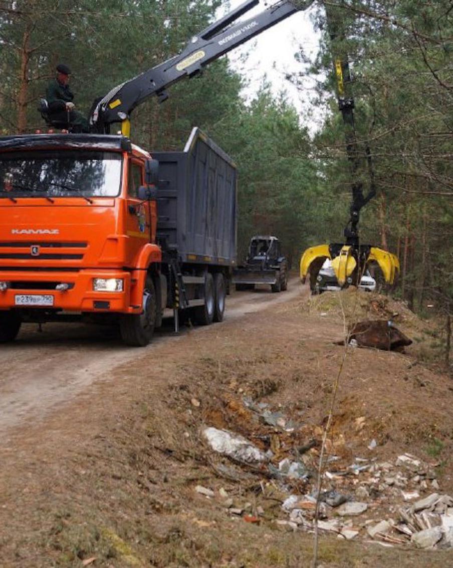 Мусор в лесах: Подмосковье борется с несанкционированными навалами